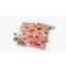 Wagyu carpaccio with mustard sauce